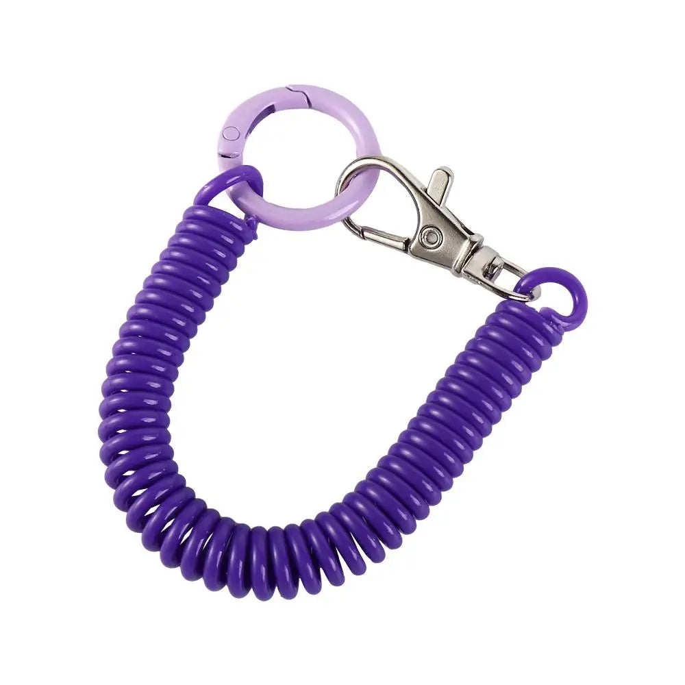 Spiral Spring Coil Key Chain – Metal Lobster Clasp Spring Coil Key Chain PLUSH
