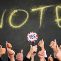 Yes No Voting Paddles Set – Classroom Teacher Judging Tool Classroom Voting Paddles PLUSH Default Title