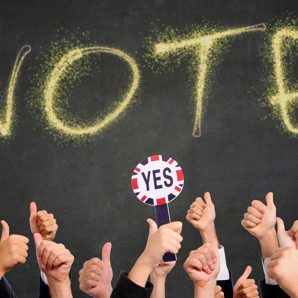 Yes No Voting Paddles Set – Classroom Teacher Judging Tool Classroom Voting Paddles PLUSH Default Title