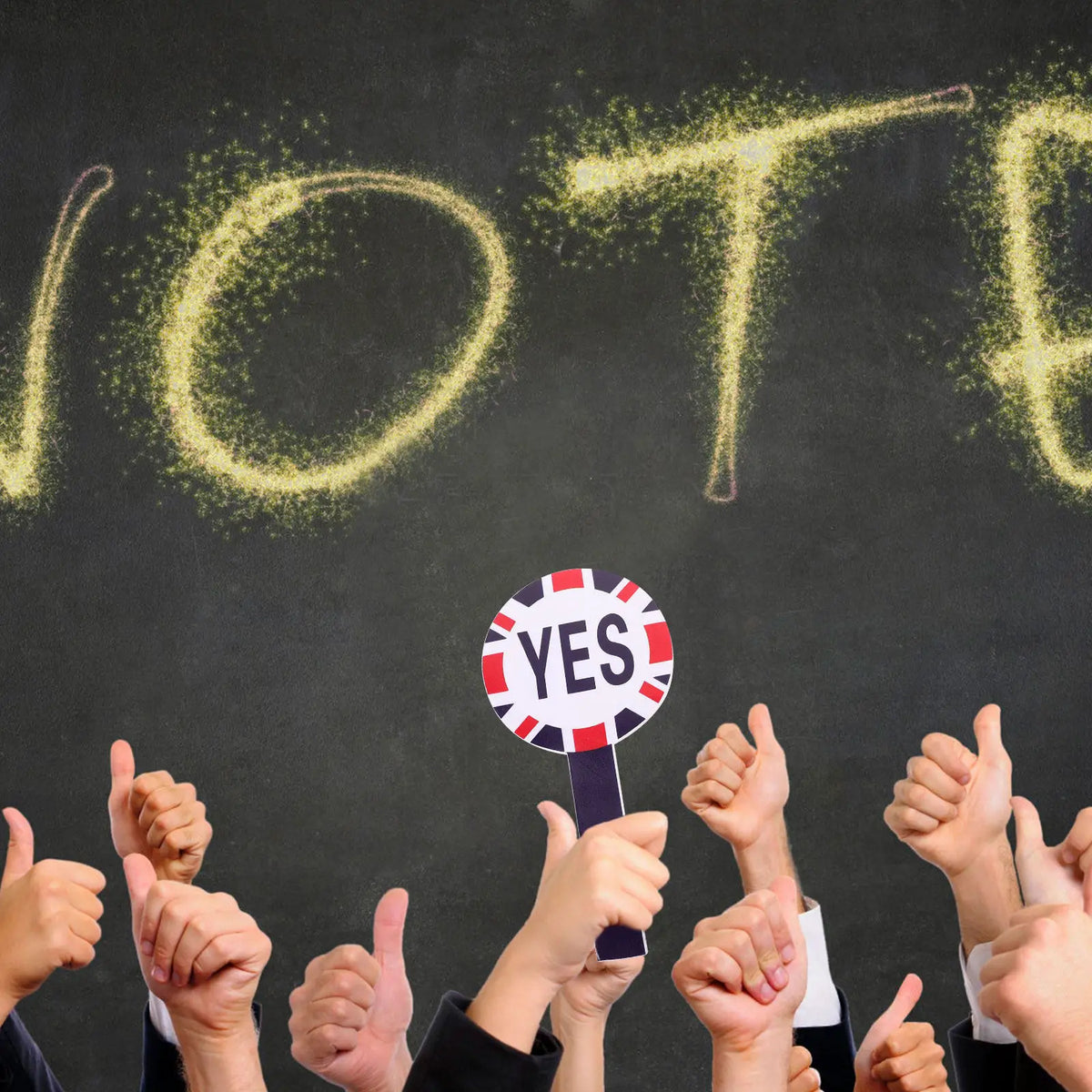 Yes No Voting Paddles Set – Classroom Teacher Judging Tool Classroom Voting Paddles PLUSH Default Title