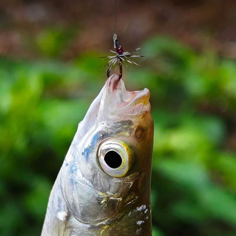 Reflective Fly Fishing Hooks Kit – Handmade High Carbon Flies Fly Fishing Hooks PLUSH