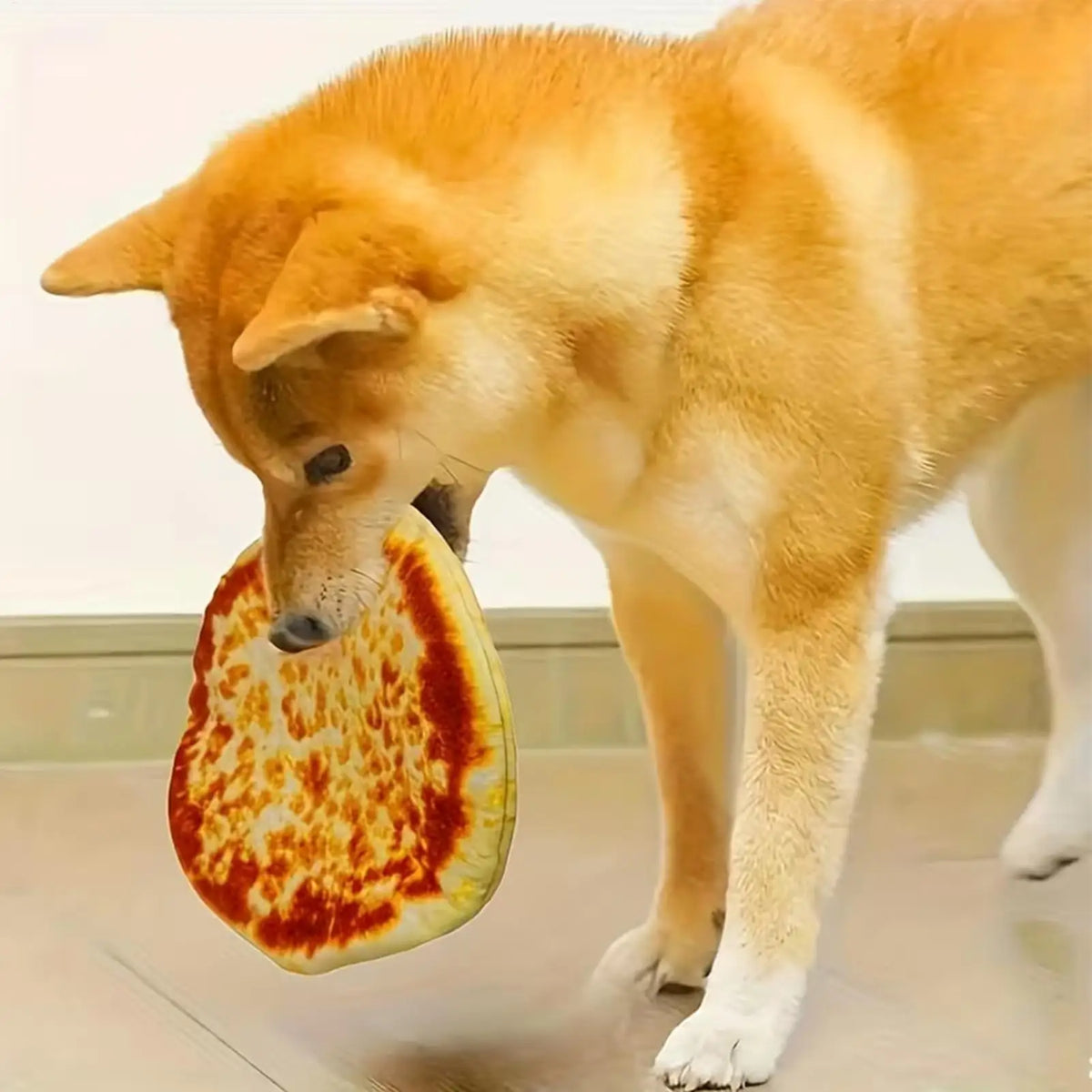 Pizza Squeaky Dog Toy – Plush Chew Toy for Dogs Dog Squeaky Toy PLUSH