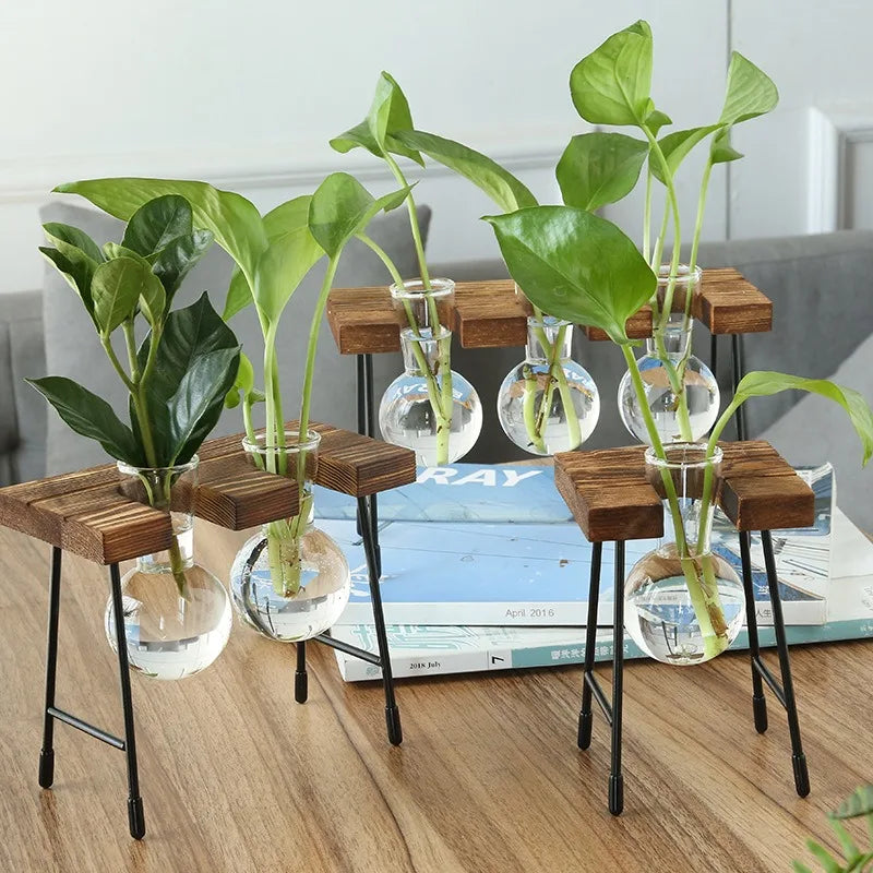Wooden Frame Hydroponic Planter Glass Bulb Vase Indoor Hydroponic Planter Vase PLUSH