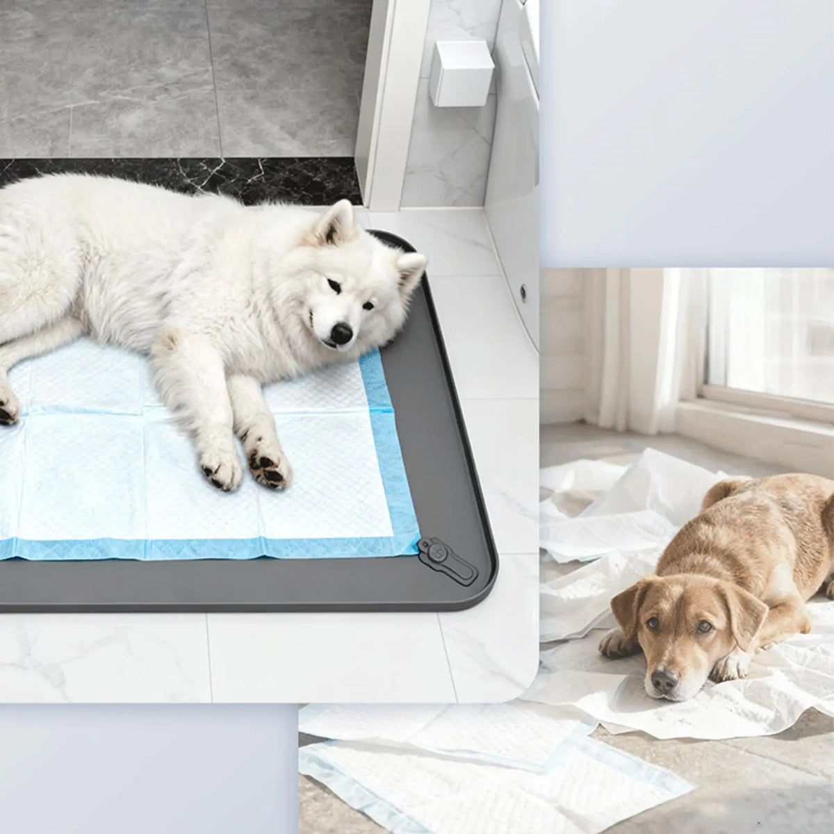 Silicone Dog Pee Pad Holder | Leak-Proof Puppy Potty Tray Dog Potty Tray PLUSH
