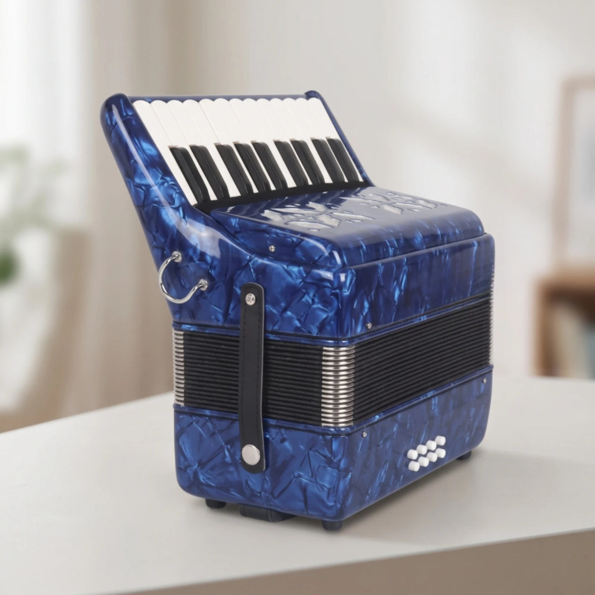 Piano Accordion for Beginners – 22 Keys, 8 Bass & Carry Bag Piano Accordion PLUSH