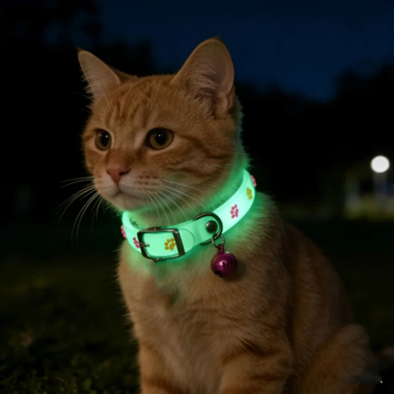 Light-Up Pet Collar with Paw Print – Glow in the Dark LED Pet Collar PLUSH