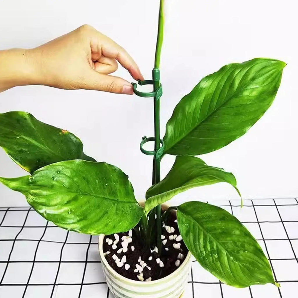 10pcs Adjustable Plant Support Stakes & Flower Grow Clips Plant Support Stakes PLUSH