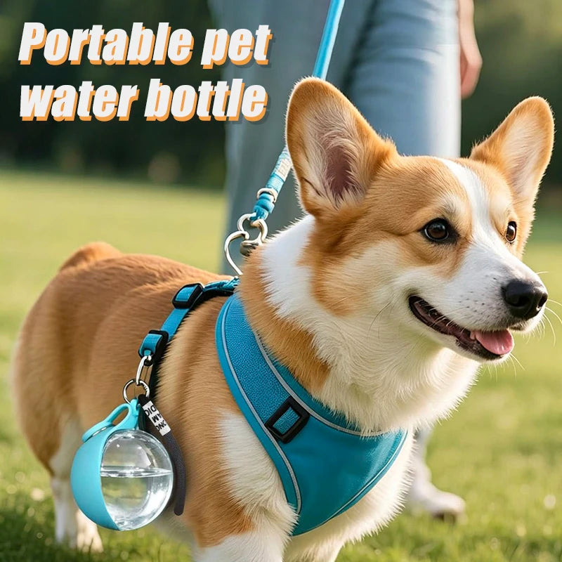 Stainless Steel Pet Water Bottle with Foldable Bowl for Dogs Pet Water Bottle PLUSH