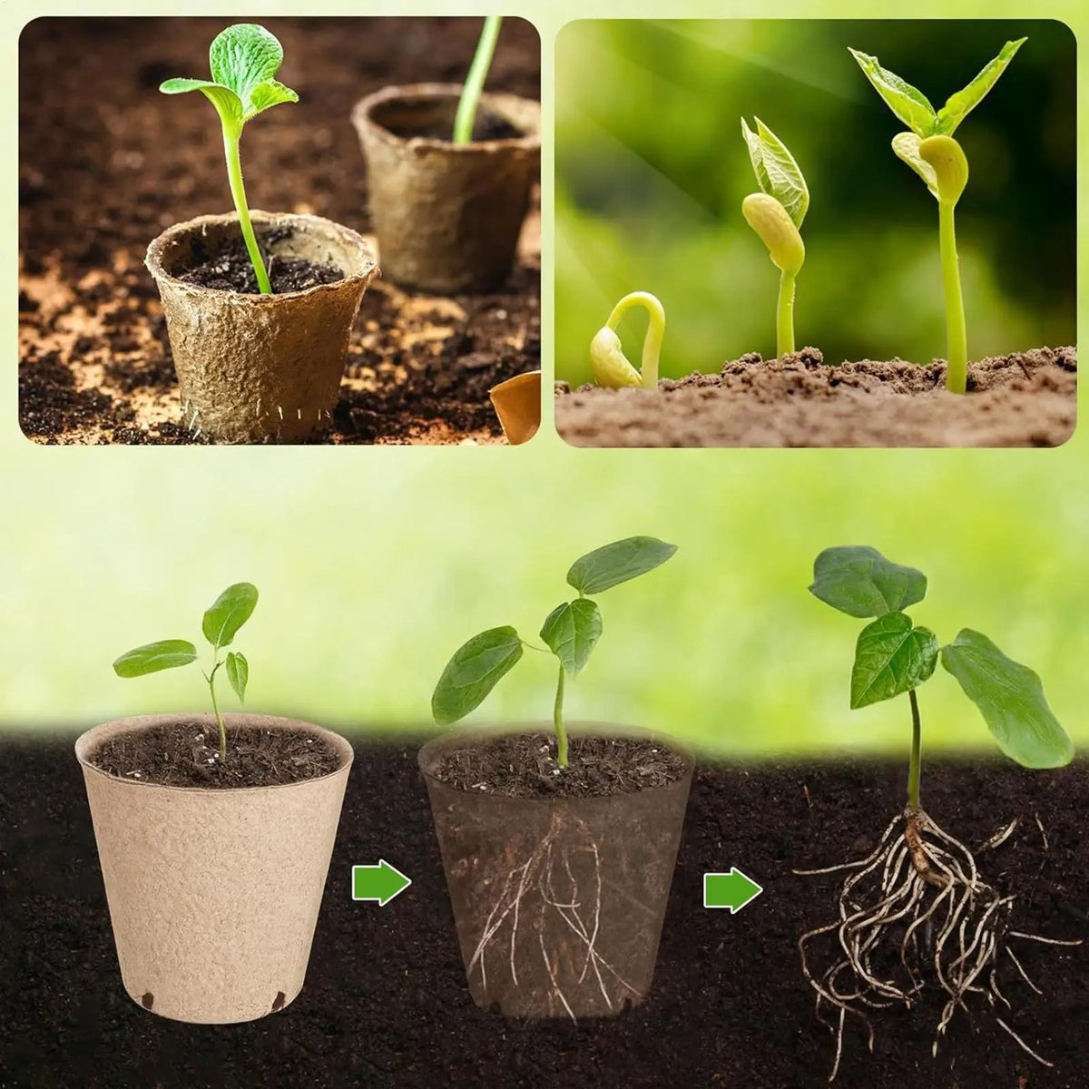 45-Pack Biodegradable Peat Pots | Seed Starter Nursery Kit Biodegradable Nursery Pots PLUSH