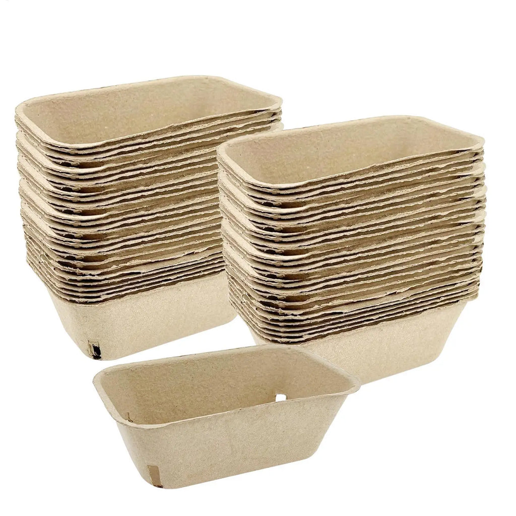 50pcs Paper Pulp Berry Baskets – Eco Fruit Storage Trays Fruit Storage Basket PLUSH