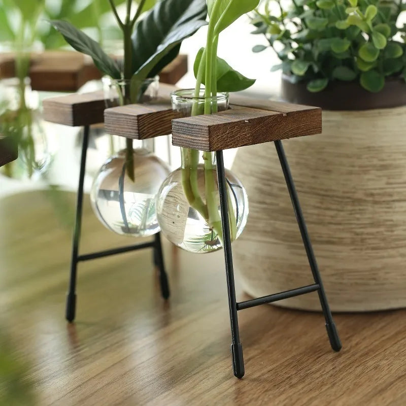 Wooden Frame Hydroponic Glass Bulb Vase – Modern Indoor Decor Hydroponic Glass Planter PLUSH