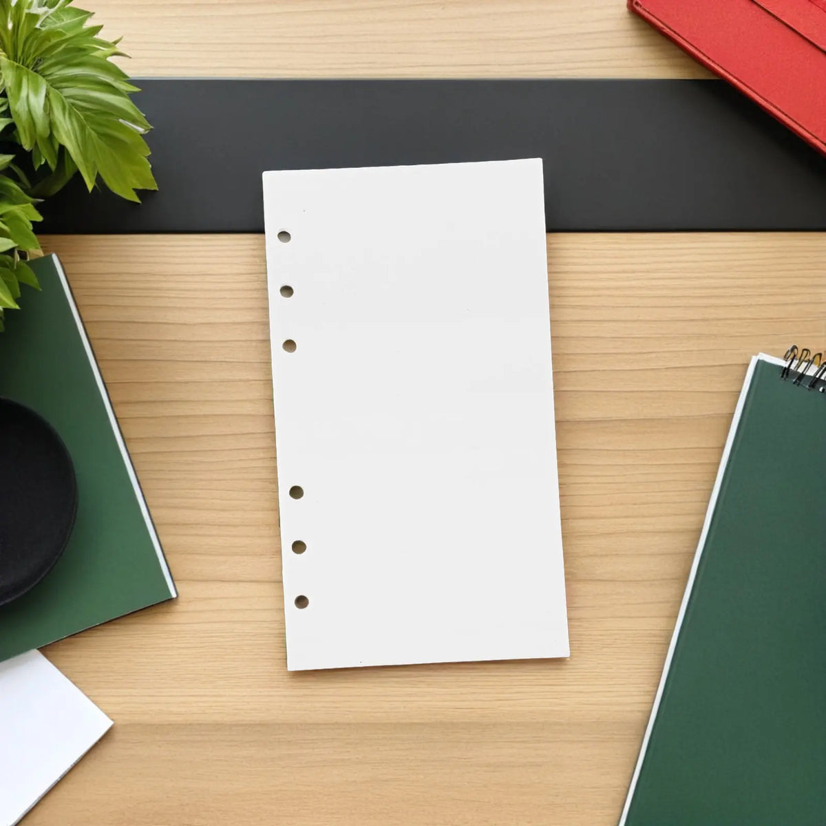 50-Sheet A6 Double-Sided Reusable Sticker Refill Pages | 6-Ring Binder Refill Sheets PLUSH