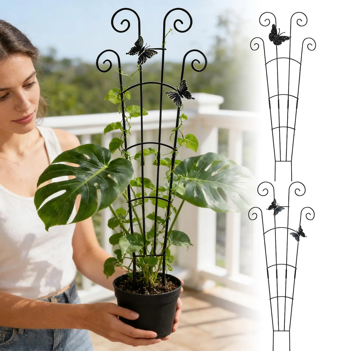 Climbing Plant Trellis 76cm – Garden Support Frame for Vines Plant Support Trellis PLUSH