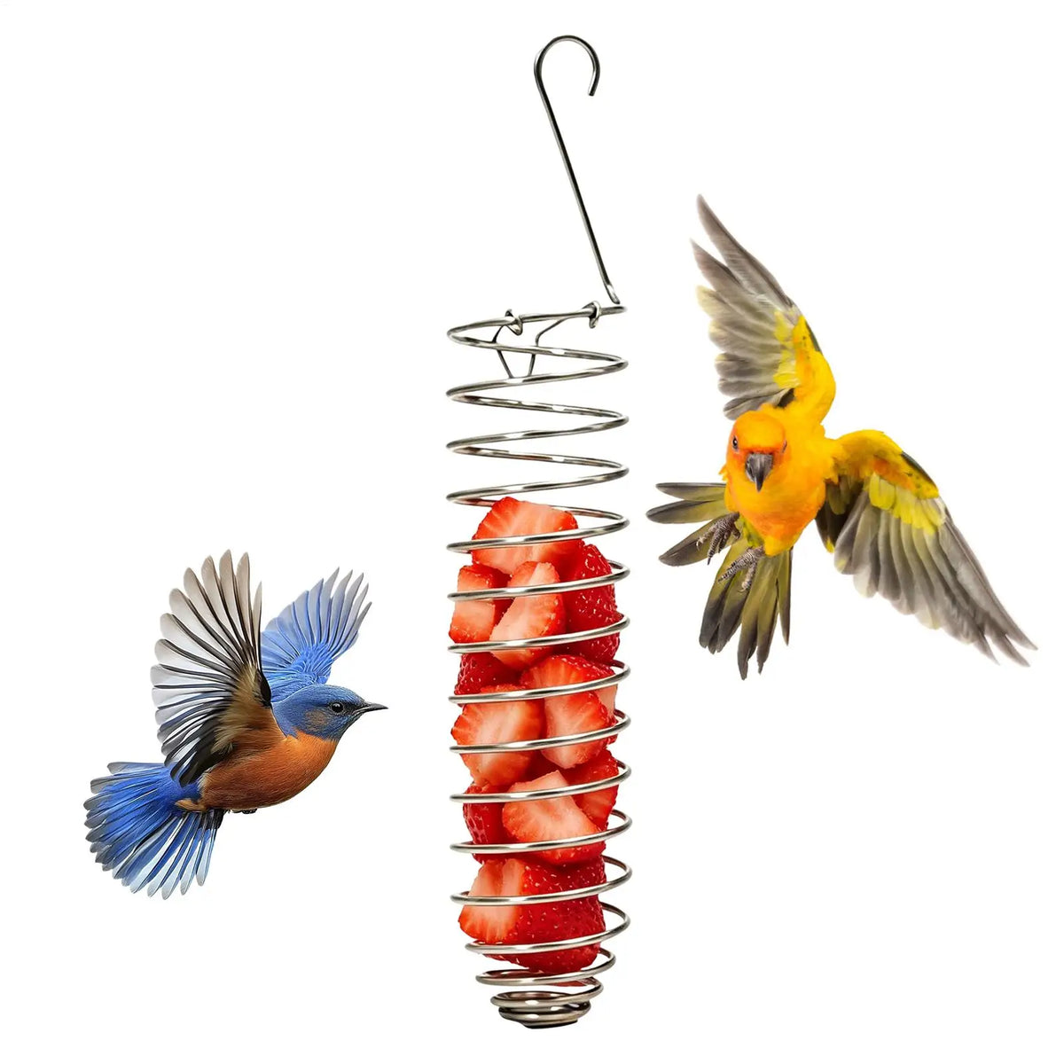 Stainless Steel Spiral Parrot Forager Feeder – Fruit & Veg Basket Bird Forager Feeder PLUSH