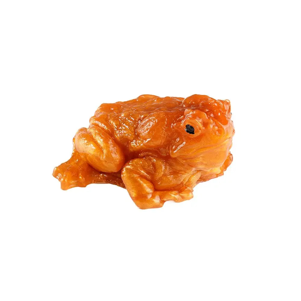 Toad Frog Squishy Squeeze Toy – Funny Gift & Desk Decor Squishy Squeeze Toy PLUSH A
