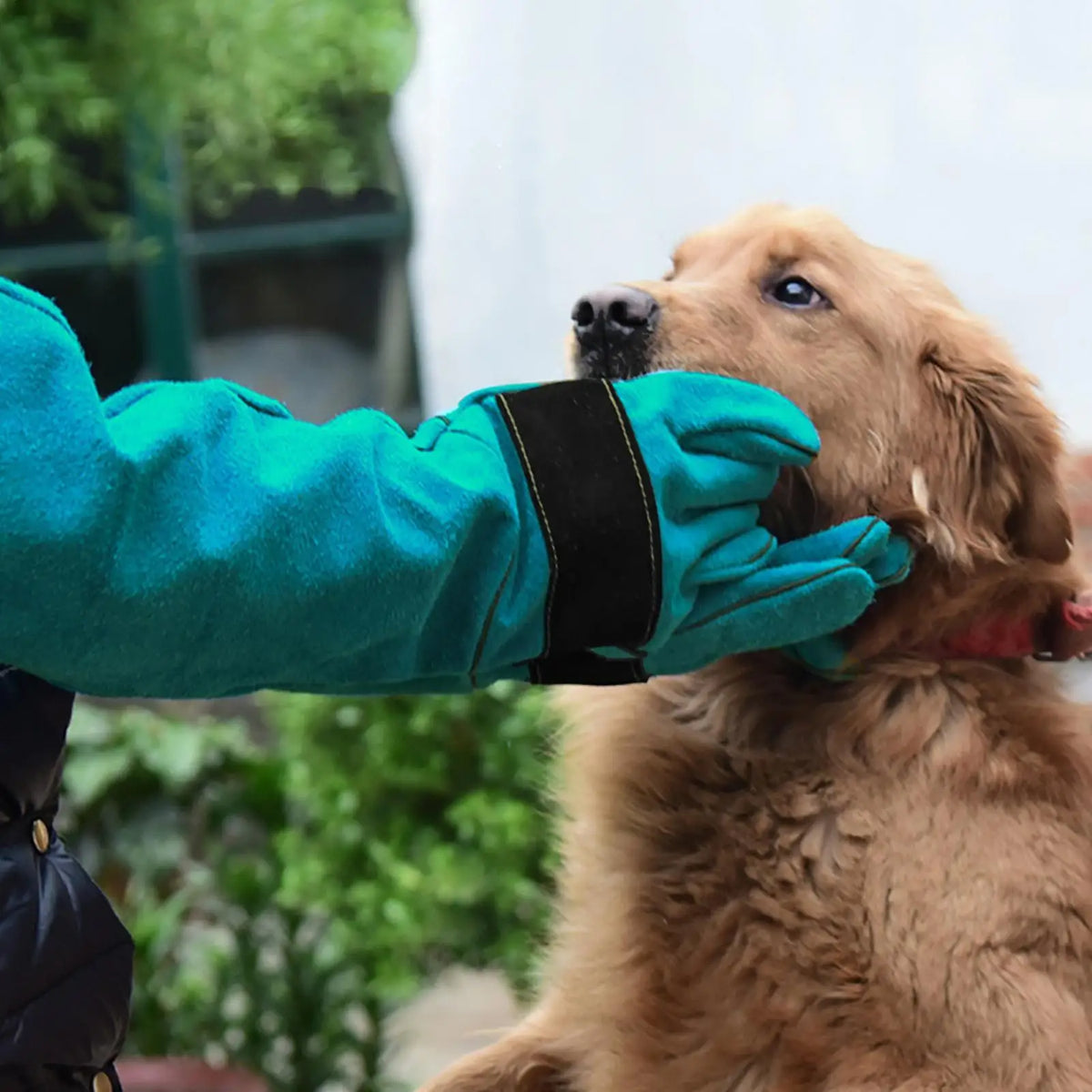 Anti-Bite Leather Gloves for Dog Cat & Bird Handling Pet Safety Gloves PLUSH