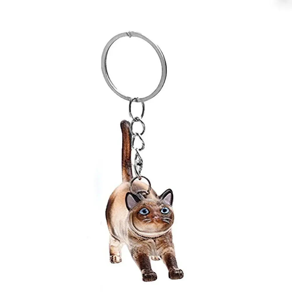 Transparent Cat Hair Storage Capsule Keychain | Pet Keepsake Pet Keepsake Keychain PLUSH