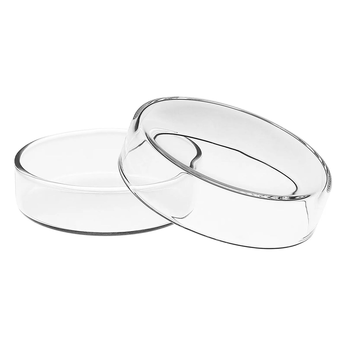10pcs High Borosilicate Glass Petri Dishes – Reusable Lab Kit Glass Petri Dishes PLUSH
