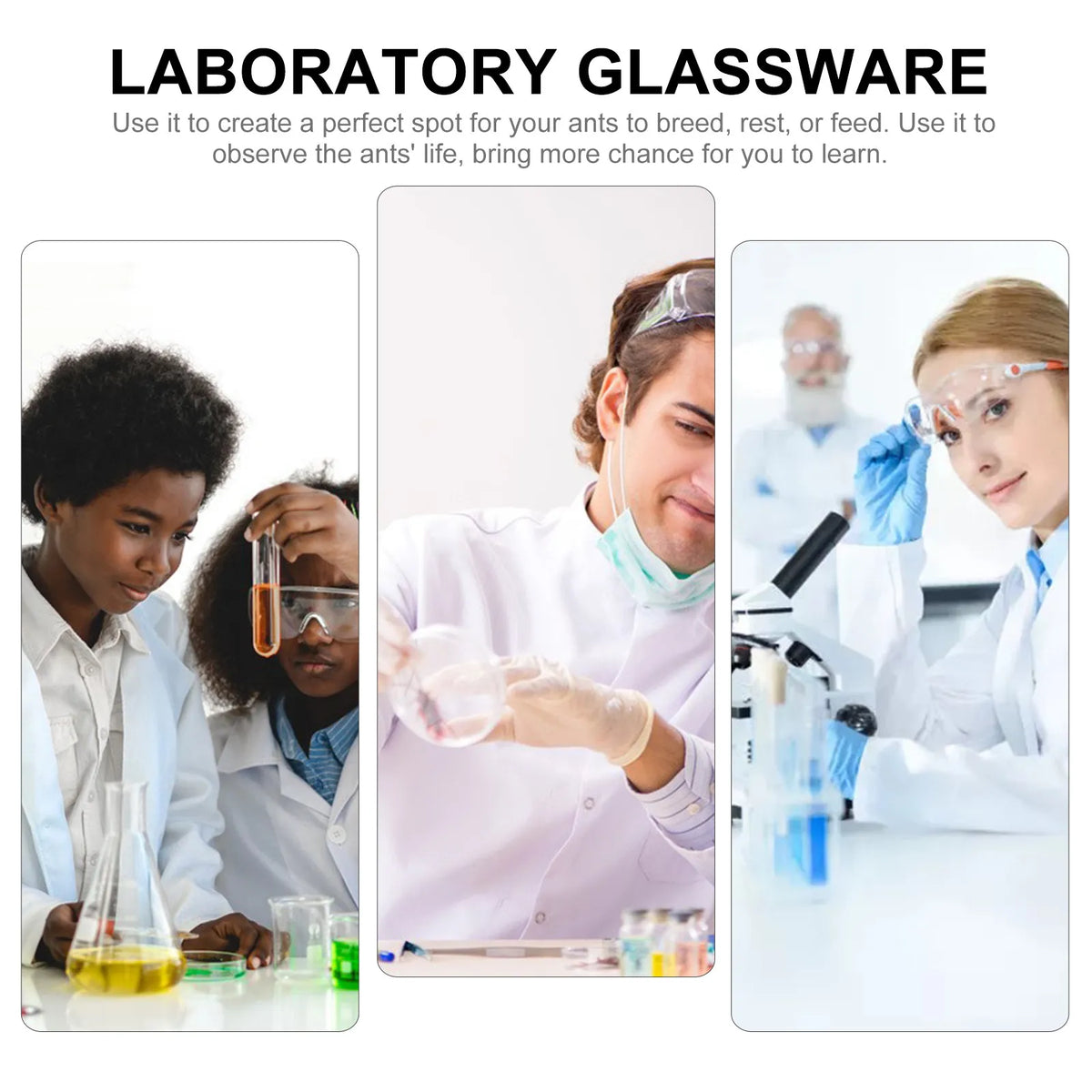 6-Pack Borosilicate Glass Side Arm Test Tubes – Lab Supply Glass Lab Test Tubes PLUSH