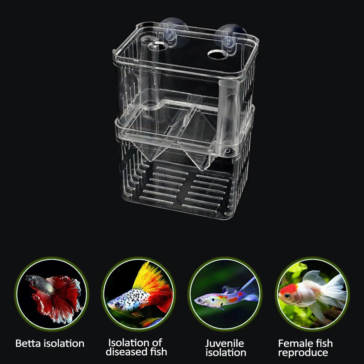 Aquarium Fish Breeder Box – Betta Fry Isolation & Hatching Box Fish Breeder Box PLUSH
