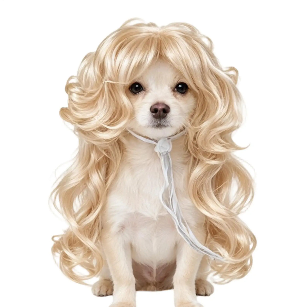 Funny Pet Cosplay Wig – Cat & Dog Costume Headdress Pet Costume Wig PLUSH
