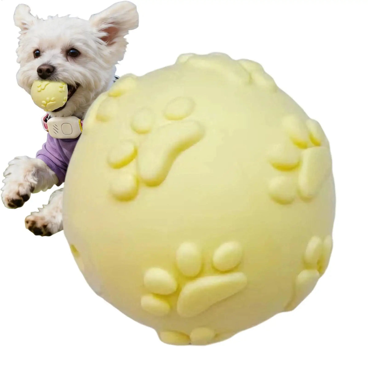Squeaky Bouncy Dog Ball – Interactive Chew & Teeth Cleaning Dog Chew Toy PLUSH