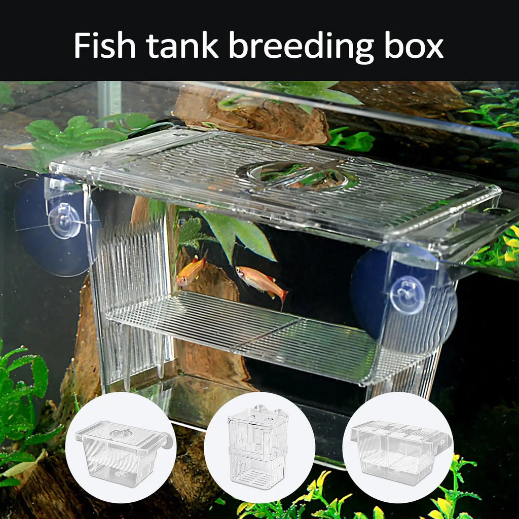 Aquarium Fish Breeder Box – Betta Fry Isolation & Hatching Box Fish Breeder Box PLUSH