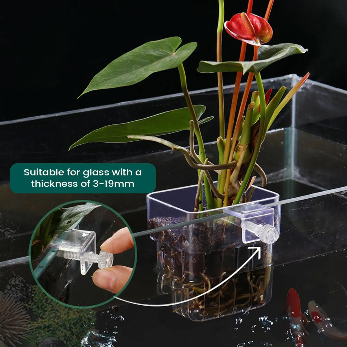 Transparent Aquarium Plant Holder – Hanging Fish Tank Pot Aquarium Plant Holder PLUSH