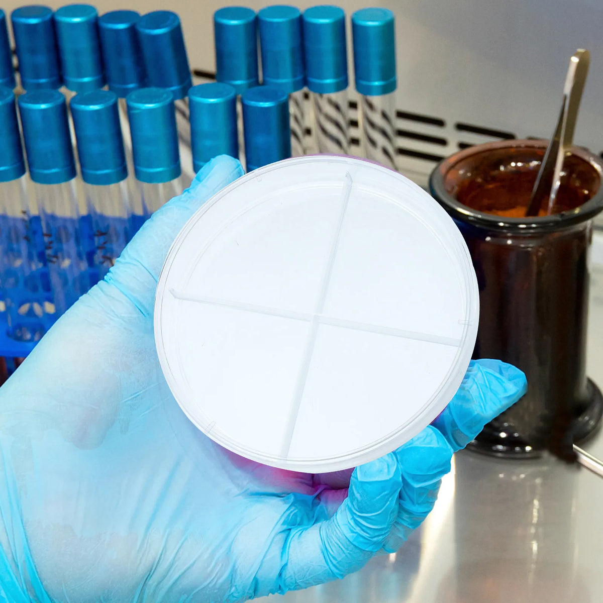 10pcs Four-Compartment Plastic Petri Dishes | Lab & Science Lab Petri Dishes PLUSH