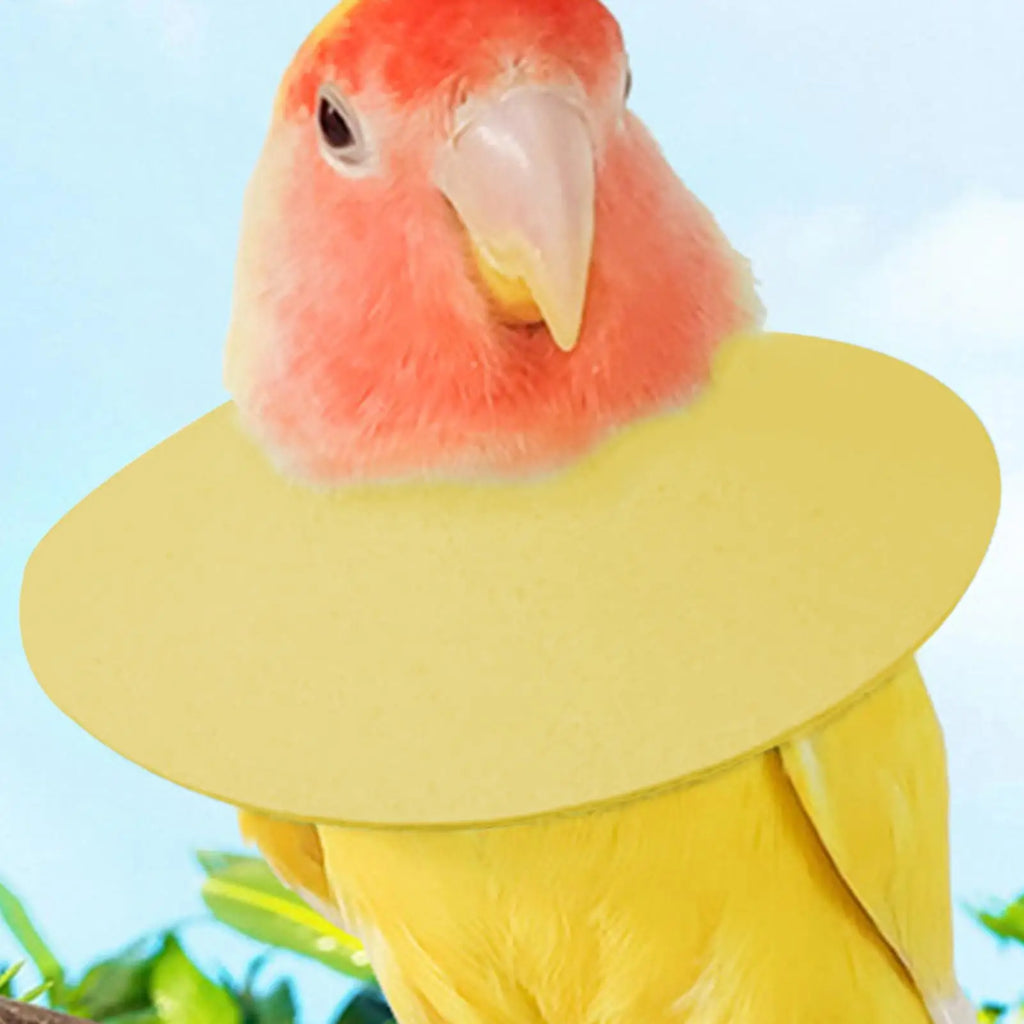 Parrot Recovery Collar – Anti-Plucking Bird Neck Sleeve Bird Recovery Collar PLUSH