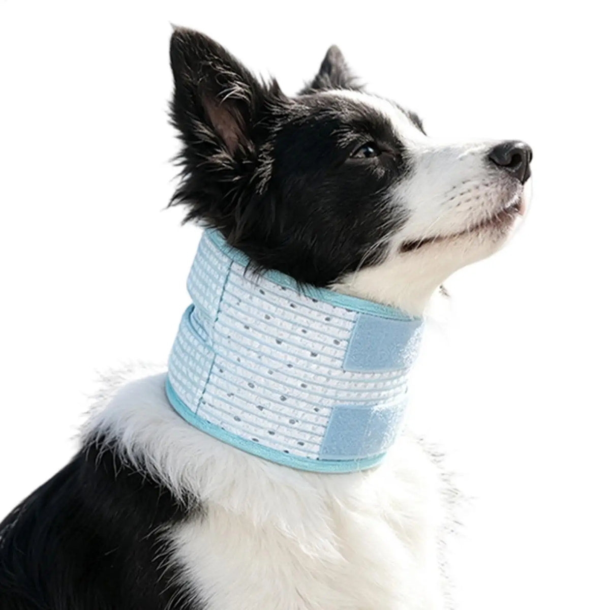 Breathable Pet Neck Brace – Anti-Lick Recovery Collar Dogs Cats Pet Recovery Collar PLUSH