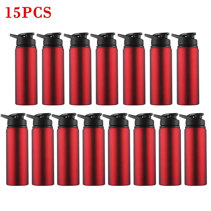 2-Pack 700ml Stainless Steel Bicycle Water Bottles – BPA-Free Sports Water Bottle PLUSH Red 15pcs 600ml