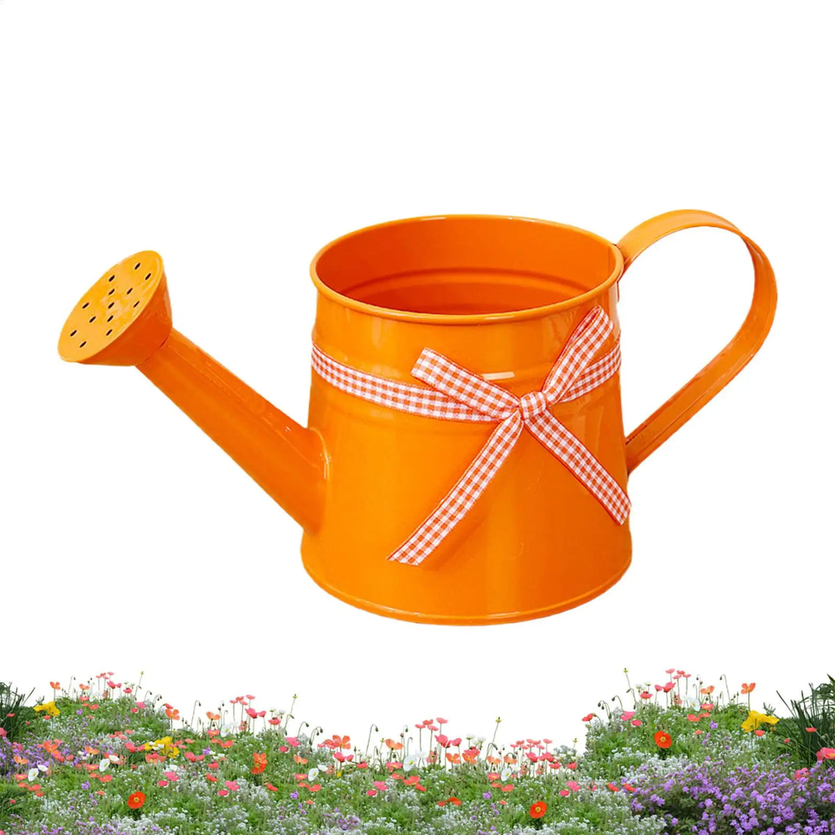 Mini Metal Watering Can – Decorative Indoor Plant Sprinkler Garden Watering Can PLUSH