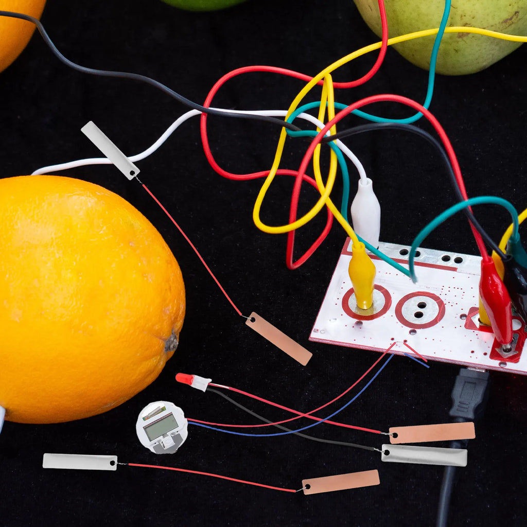 Fruit Battery Science Experiment Kit – DIY Physics for Kids Science Experiment Kit PLUSH