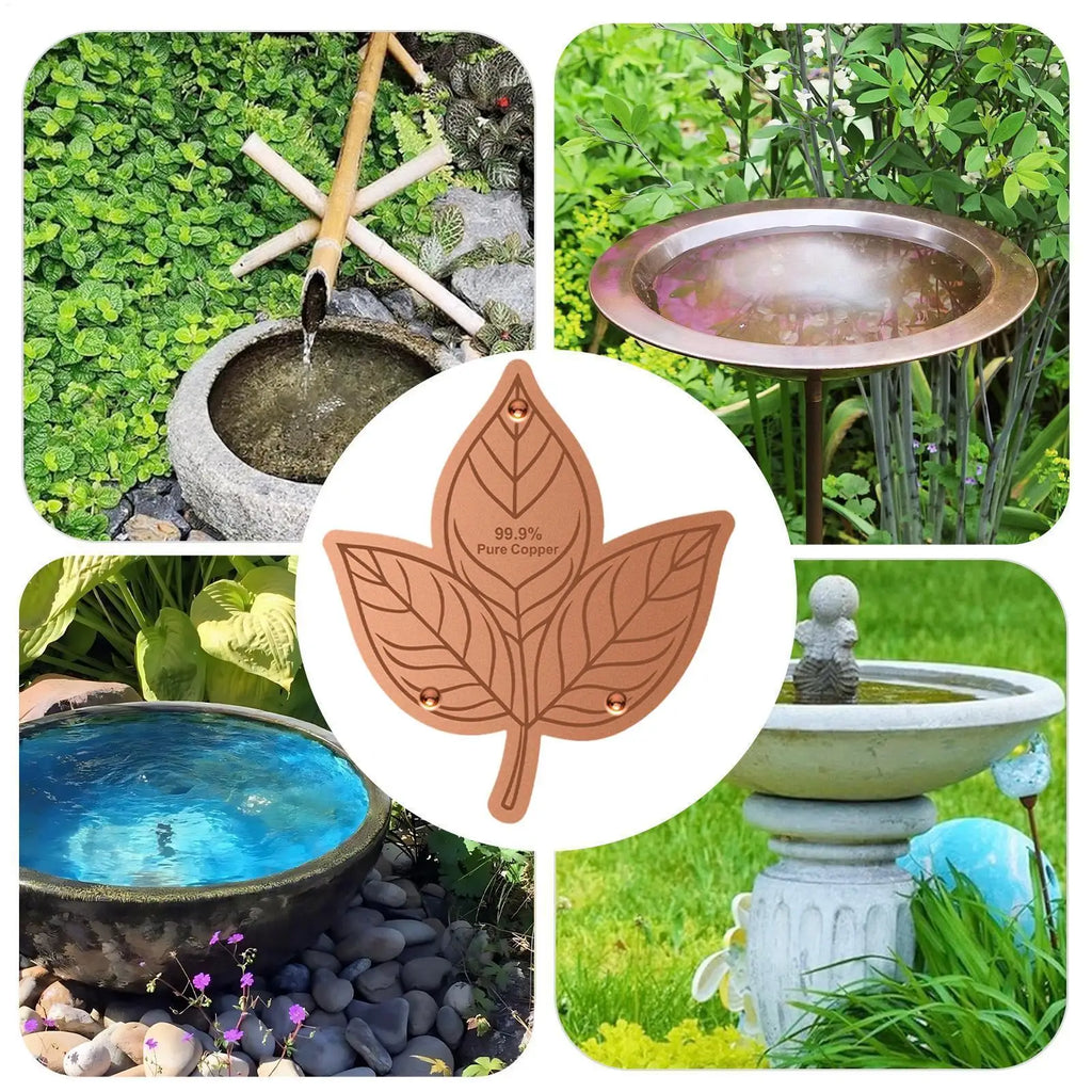 Copper Bird Bath Purifier Disk – Triple-Point Support Bird Bath Accessory PLUSH