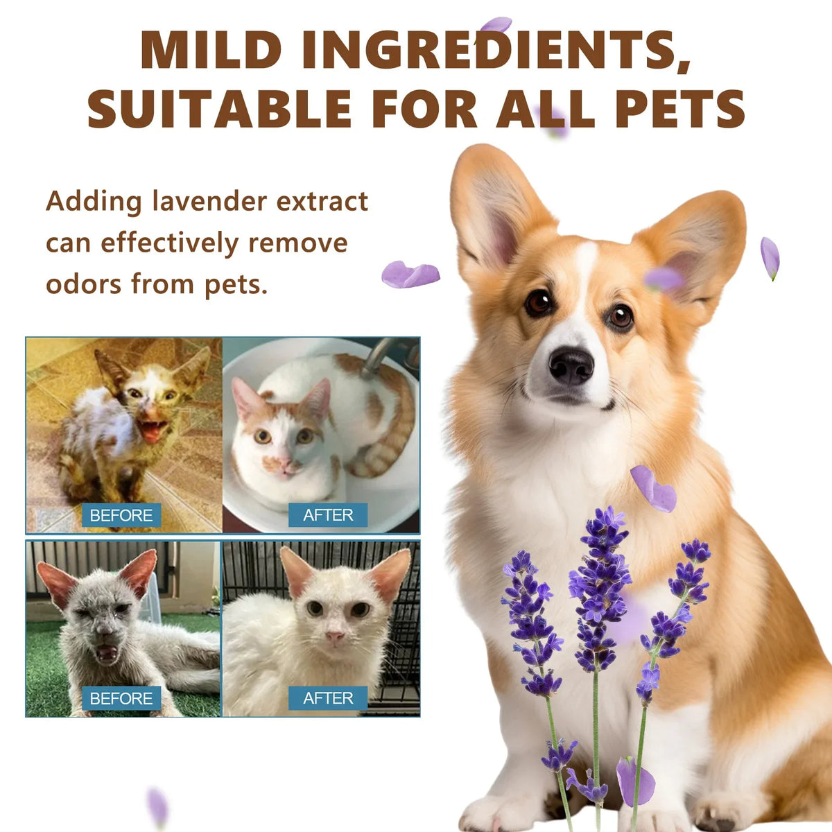 Waterless Pet Essence Set – Dog & Cat Dry Shampoo & Deodorizer Waterless Pet Shampoo PLUSH
