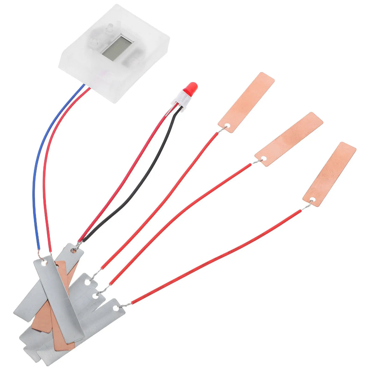 Fruit Battery Science Experiment Kit – DIY Physics Circuit Science Experiment Kit PLUSH
