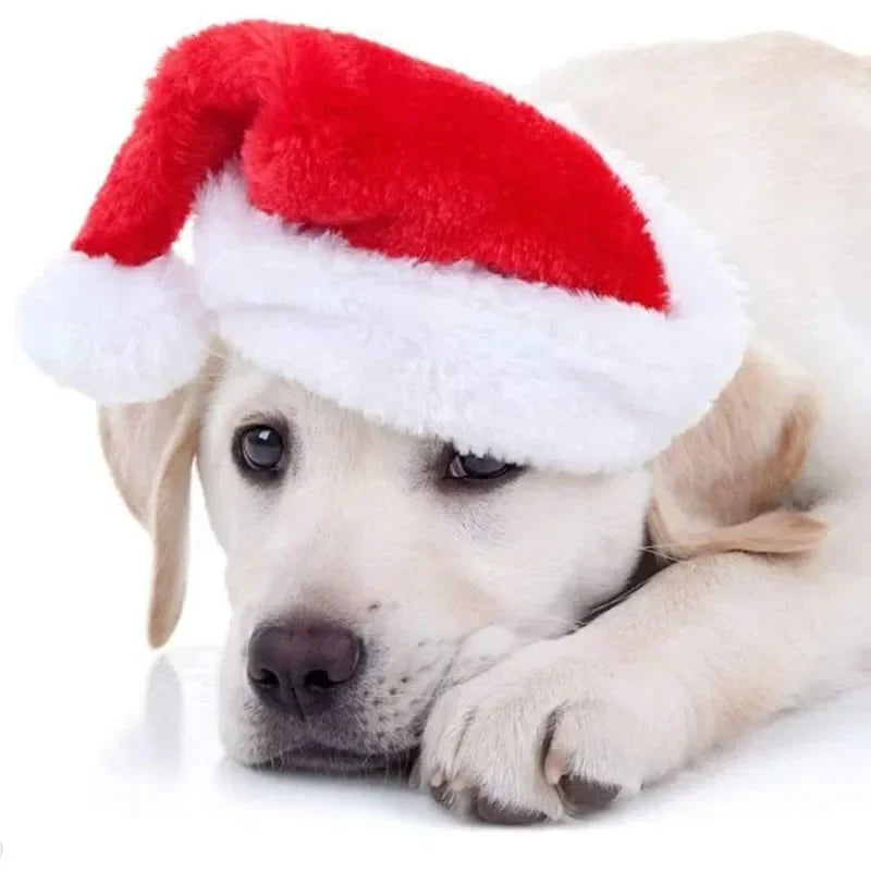 Red Plush Santa Hat for Dogs – Christmas Pet Costume Accessory Pet Costume Hat PLUSH