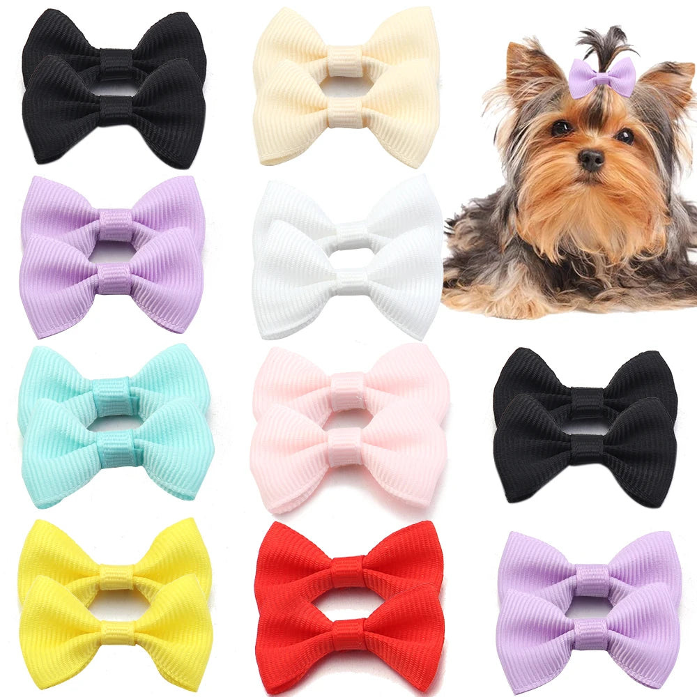 30pcs Mini Satin Ribbon Bows 2.5x4cm – Colorful DIY Craft Bows Ribbon Bows PLUSH