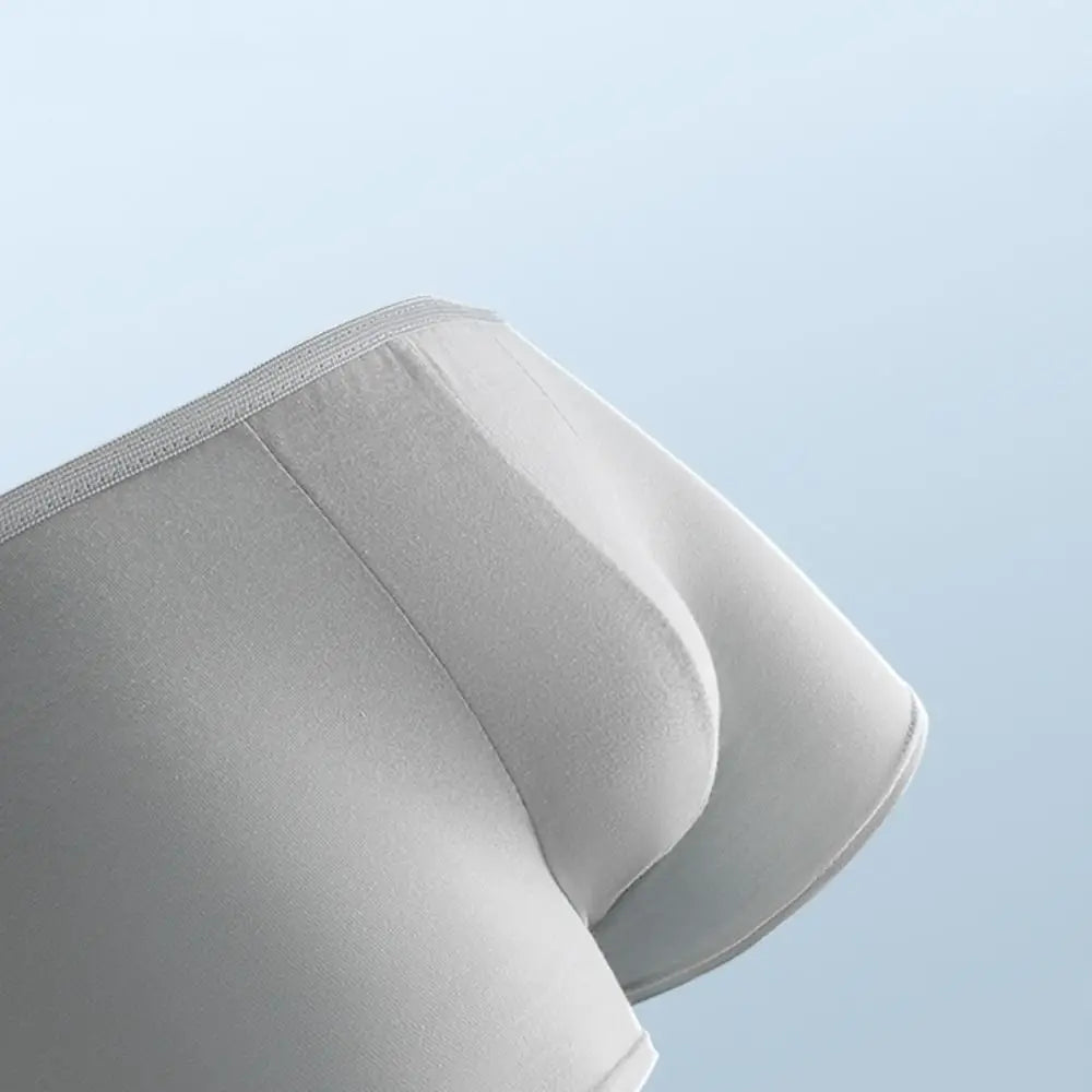 5-Pack Men's Seamless Disposable Briefs | Sizes L–4XL Men's Disposable Briefs PLUSH