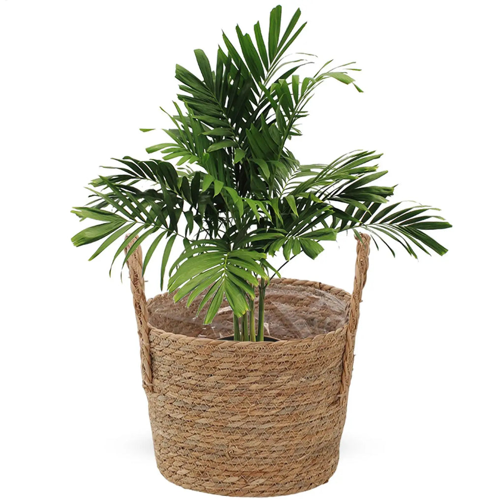 Wicker Rattan Planter Basket | Natural Straw Flower Pot Wicker Planter Basket PLUSH