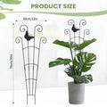 Climbing Plant Trellis 76cm – Garden Support Frame for Vines Plant Support Trellis PLUSH A