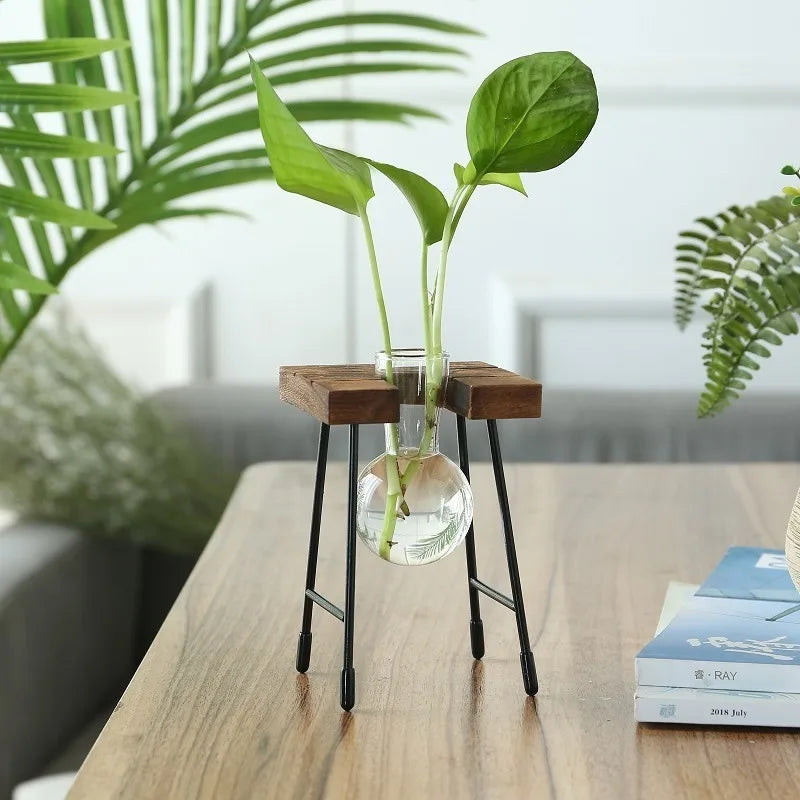 Wooden Frame Hydroponic Glass Bulb Vase – Modern Indoor Decor Hydroponic Glass Planter PLUSH
