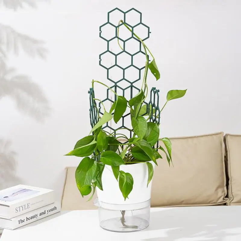 Honeycomb Plastic Plant Trellis – Vine & Flower Support 1–5pcs Plant Trellis Support PLUSH