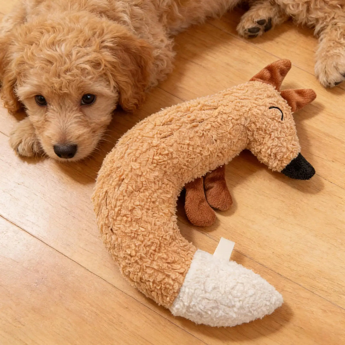 Interactive Plush Fox Chew & Squeak Toy for Cats & Dogs Pet Chew Toy PLUSH