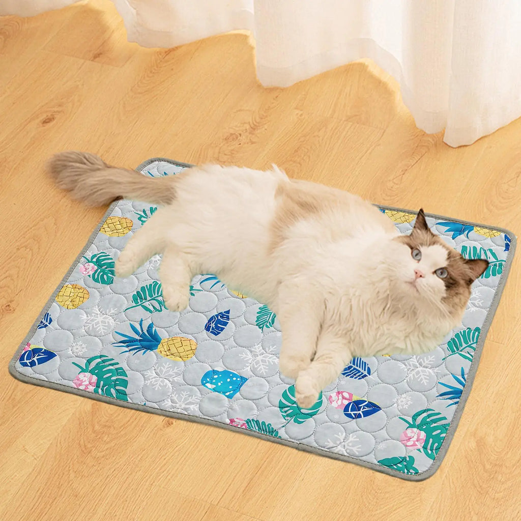 Pet Cooling Mat – Breathable Ice Silk Pad for Dogs & Cats Pet Cooling Mat PLUSH