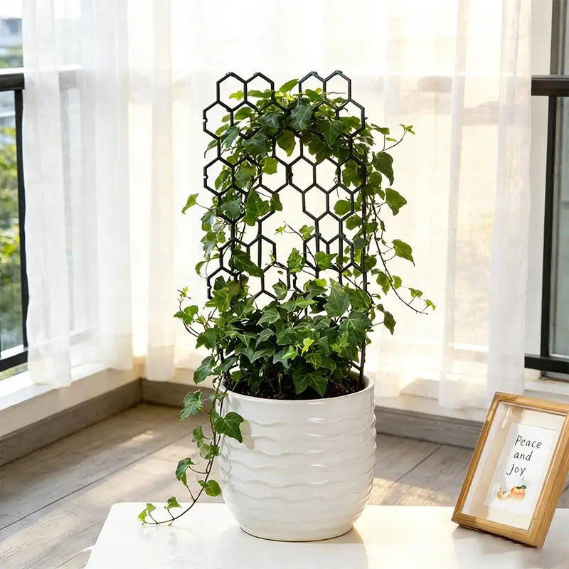 Honeycomb Plastic Plant Trellis – Vine & Flower Support 1–5pcs Plant Trellis Support PLUSH