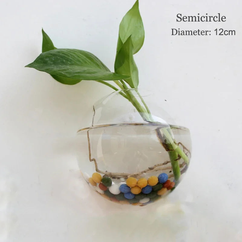 Semi-Circle Wall Vase | Glass Hydroponic Planter & Terrarium Wall Hanging Vase PLUSH