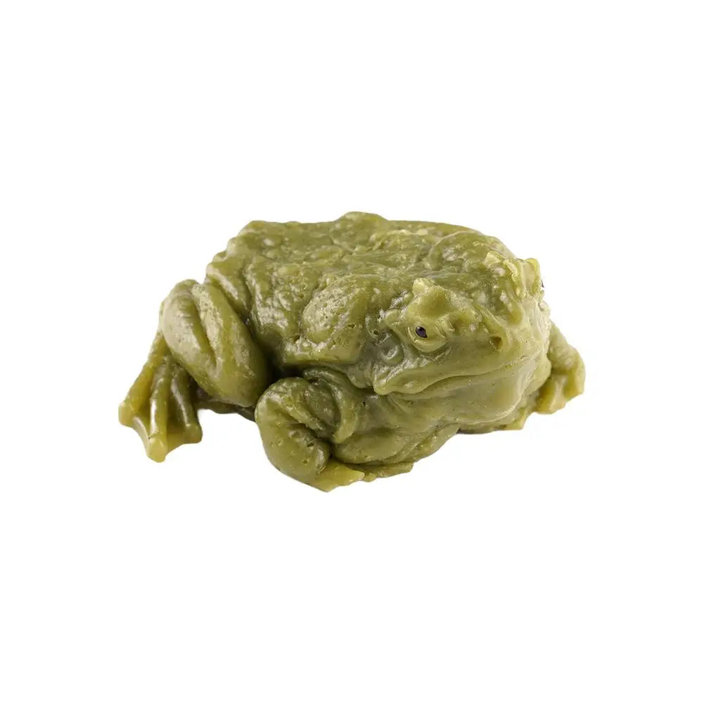Toad Frog Squishy Squeeze Toy – Funny Gift & Desk Decor Squishy Squeeze Toy PLUSH B